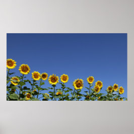 Mitglied der Familie Poster