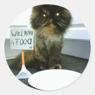 Mitleid-Miezekatze schnurrt für Nahrung Runder Aufkleber