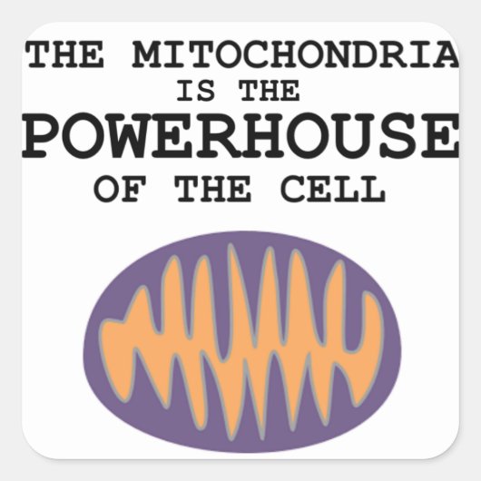 Mitochondria ist das Powerhouse - Aufkleber (Vorderseite)