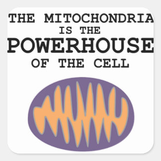 Mitochondria ist das Powerhouse - Aufkleber