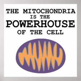 Mitochondria ist das Powerhouse - Poster
