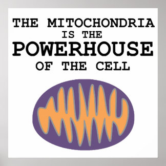 Mitochondria ist das Powerhouse - Poster