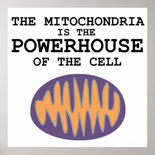 Mitochondria ist das Powerhouse - Poster (Vorne)