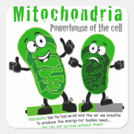 Mitochondria Powerhouse of the Cell Quadratischer Aufkleber