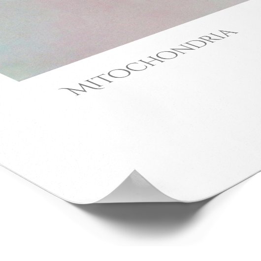 Mitochondria Print Poster (Ecke)