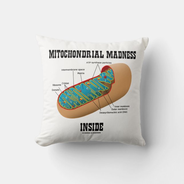 Mitochondrialer Wahnsinn innerhalb der Mitochondri Kissen (Vorderseite)