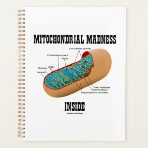 Mitochondrialer Wahnsinn innerhalb der Mitochondri Planer