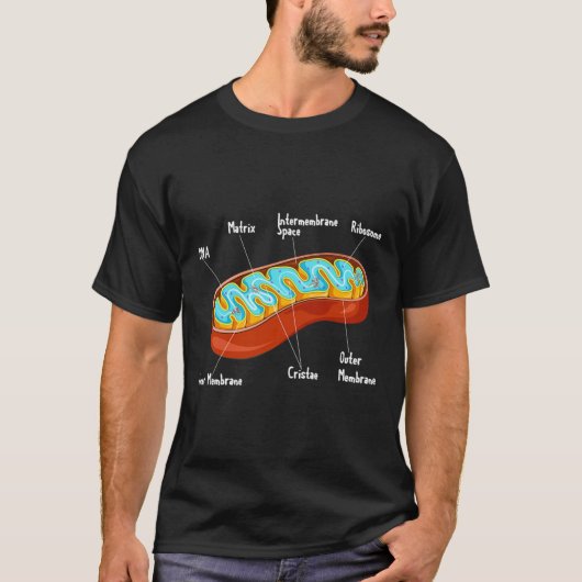 Mitochondrie Zellbiologie Biologe Wissenschaft Leh T-Shirt (Vorderseite)