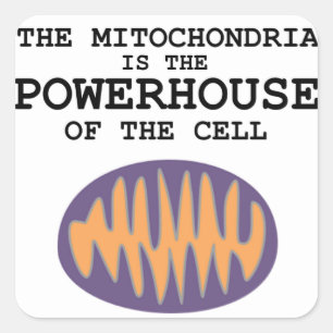 Mitochondrien ist das Elektrizitätskraftwerk - Quadratischer Aufkleber