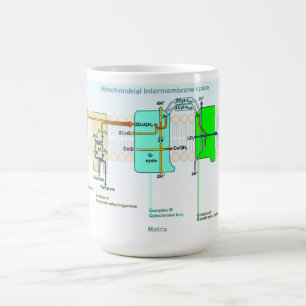 Mitonchondrial Intermembrane Raum-Diagramm Kaffeetasse