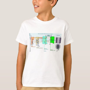 Mitonchondrial Intermembrane Raum-Diagramm T-Shirt