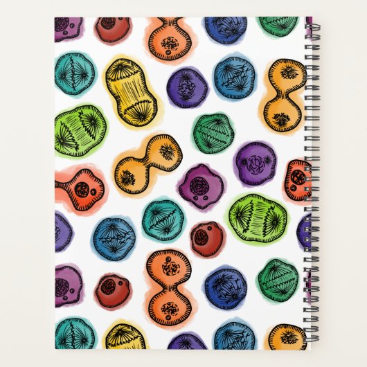 Mitose - Farbe auf Weiß Planer (Rückseite)