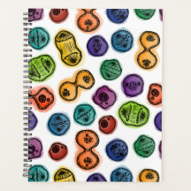 Mitose - Farbe auf Weiß