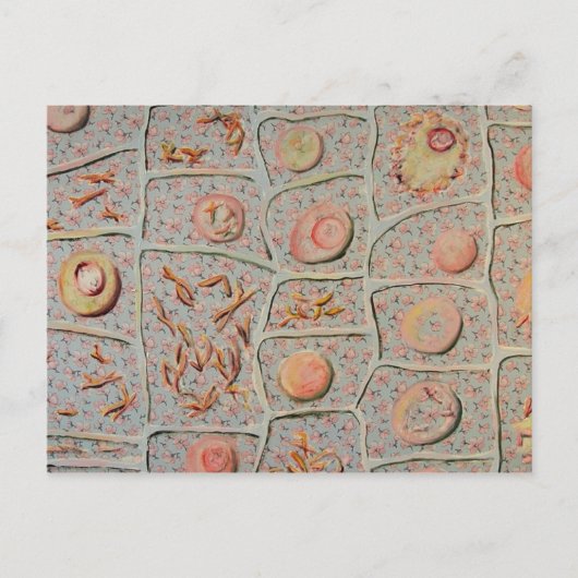 Mitose Postkarte (Vorderseite)