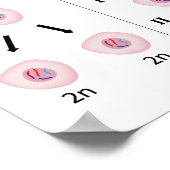 Mitose versus Meiose Poster (Ecke)