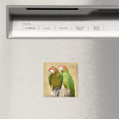 Mitred Parakeet auf der Holzpfeife Postkarte Magnet (In Situ (Geschirrspüler))