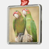 Mitred Parakeet auf der Holzpfeife Postkarte Ornament Aus Metall (Links)