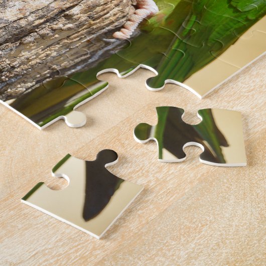 Mitred Parakeet auf der Holzpfeife Postkarte Puzzle (Seite)