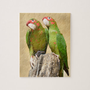 Mitred Parakeet auf der Holzpfeife Postkarte Puzzle