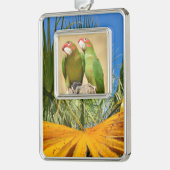 Mitred Parakeet auf der Holzpfeife Postkarte Rahmen-Ornament Silber (Links)