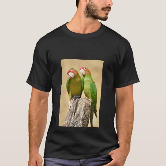 Mitred Parakeet auf der Holzpfeife Postkarte T-Shirt (Vorderseite)