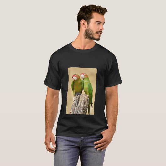 Mitred Parakeet auf der Holzpfeife Postkarte T-Shirt (Vorne ganz)