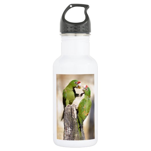 Mitred Parakeet auf Holzpfosten Trinkflasche (Vorderseite)