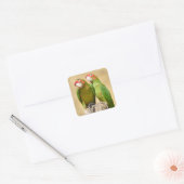Mitred Parakeet auf Holzpost Postkarte Quadratischer Aufkleber (Umschlag)