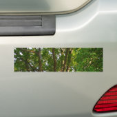 Mitsommernes Licht Småland Autoaufkleber (Auf Auto)