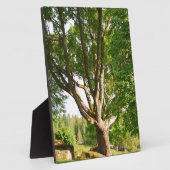 Mitsommernes Licht Småland Fotoplatte (Seite)