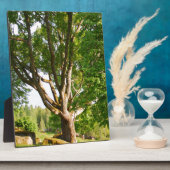 Mitsommernes Licht Småland Fotoplatte (Seite)