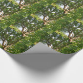 Mitsommernes Licht Småland Geschenkpapier (Ecke)