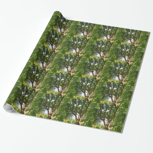 Mitsommernes Licht Småland Geschenkpapier (Ungerollt)