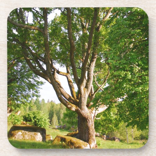 Mitsommernes Licht Småland Getränkeuntersetzer (Vorderseite)