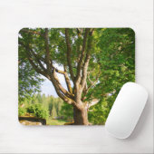 Mitsommernes Licht Småland Mousepad (Mit Mouse)