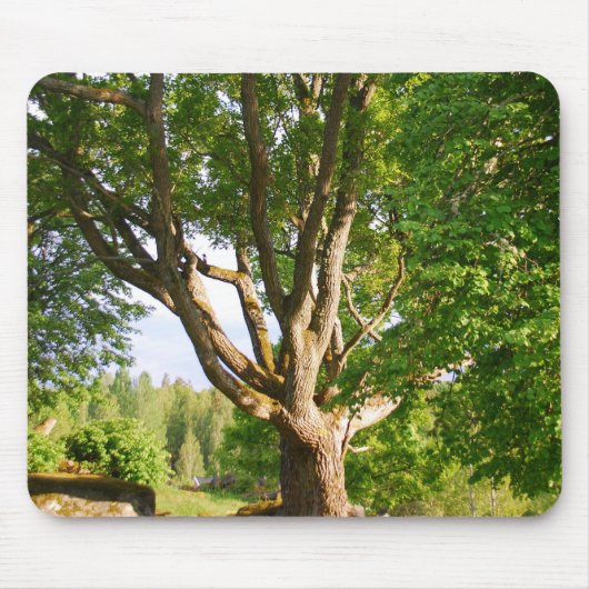 Mitsommernes Licht Småland Mousepad (Vorne)