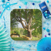 Mitsommernes Licht Småland Pappteller (Party)