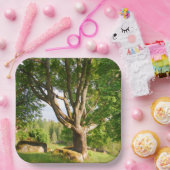 Mitsommernes Licht Småland Pappteller (Party)