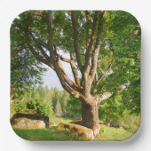 Mitsommernes Licht Småland Pappteller (Vorderseite)