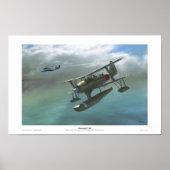 Mitsubishi F1M2 Poster (Vorne)