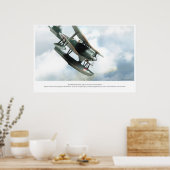 Mitsubishi F1M Poster (Küche)
