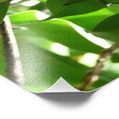 Mittagessen am Baum Fotodruck (Ecke)