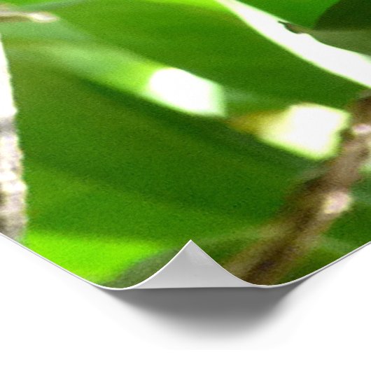 Mittagessen am Baum Poster (Ecke)