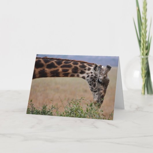 Mittagessen für eine karte (Vorderseite)