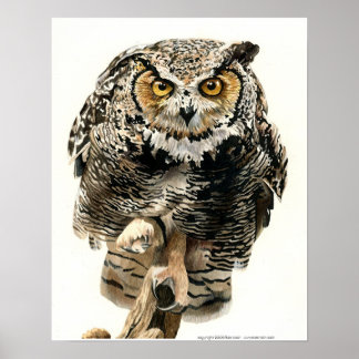 Mittagessen - Großes Horned Owl Poster