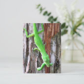 Mittagessen jemand? Grüne Anole (Lizard) Postkarte (Stehend Vorderseite)