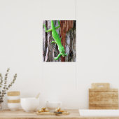 Mittagessen jemand? Grünes Anole (Lizard) Poster (Küche)