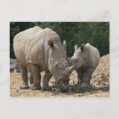 Mittagessen mit Mama Postkarte (Vorderseite)