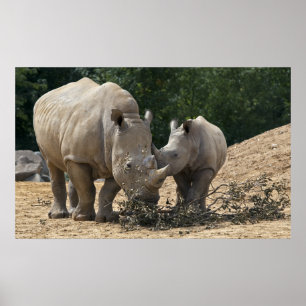 Mittagessen mit Mama Print Poster
