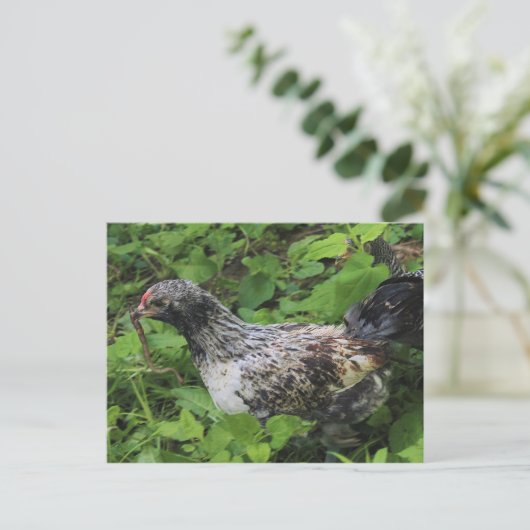 Mittagessen Postkarte (Stehend Vorderseite)